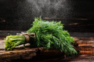 Dill Weed: More than Just a Spice